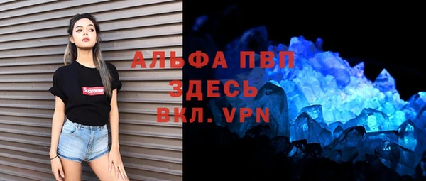 гидра Алексеевка