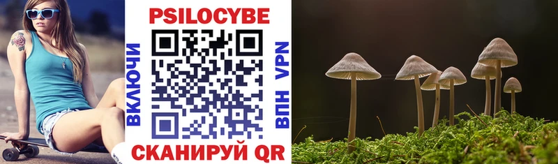 цены Болгар Галлюциногенные грибы мицелий